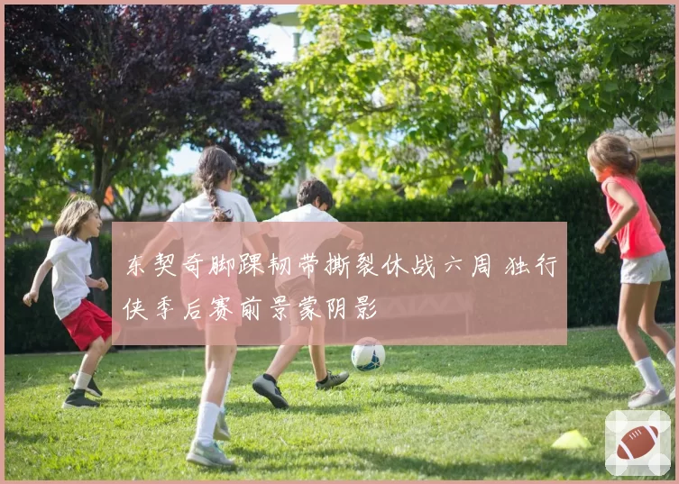 东契奇脚踝韧带撕裂休战六周 独行侠季后赛前景蒙阴影