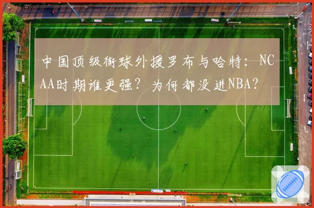 中国顶级街球外援罗布与哈特:NCAA时期谁更强?为何都没进NBA?