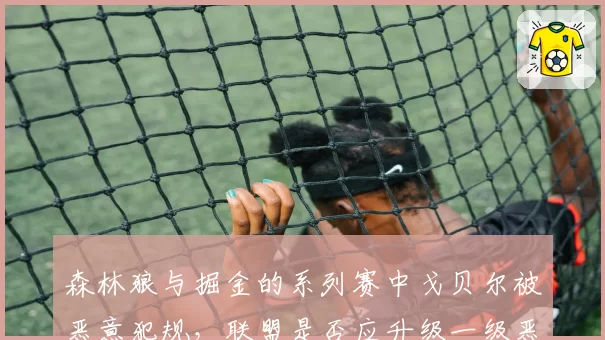 森林狼与掘金的系列赛中戈贝尔被恶意犯规，联盟是否应升级一级恶意判罚