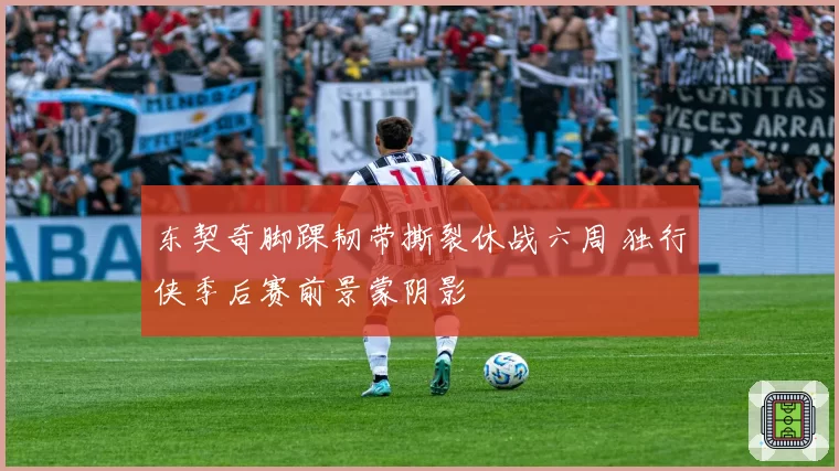 东契奇脚踝韧带撕裂休战六周 独行侠季后赛前景蒙阴影